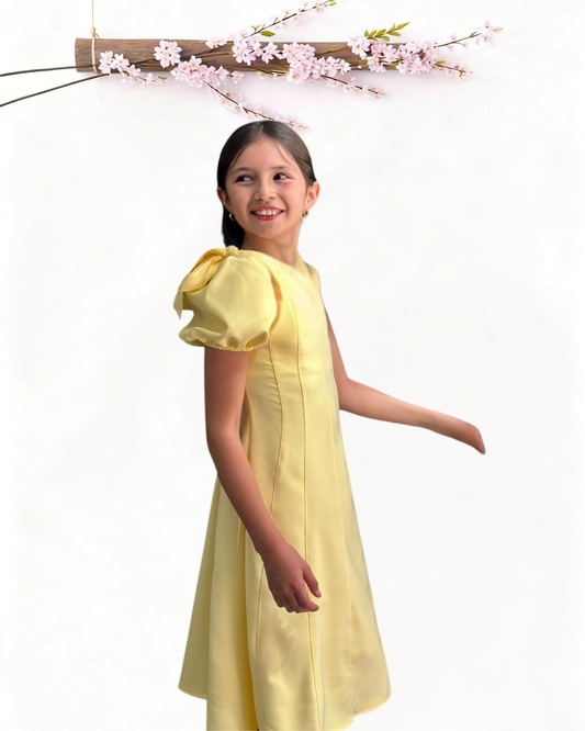Vestido Eloísa
